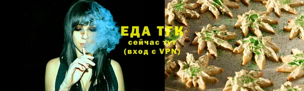 СК Алексин