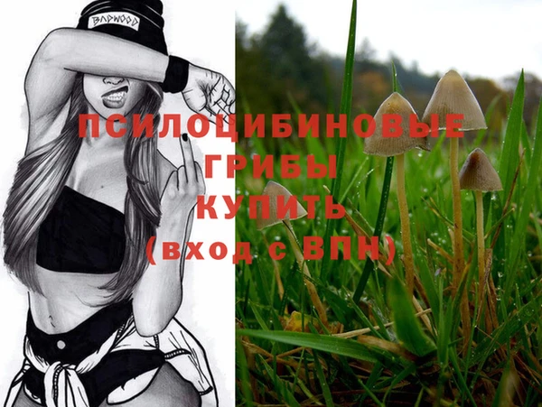 шишки Алексеевка