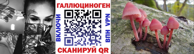 Псилоцибиновые грибы прущие грибы  Тосно 