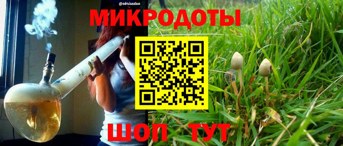Псилоцибиновые грибы мицелий Тосно