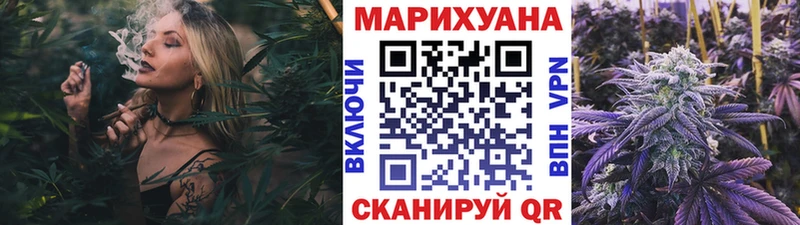Конопля планчик Тосно